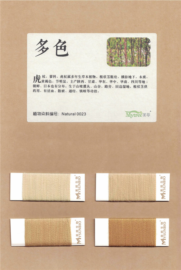 23多色.jpg